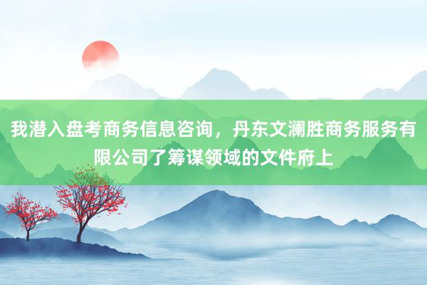 我潜入盘考商务信息咨询，丹东文澜胜商务服务有限公司了筹谋领域的文件府上