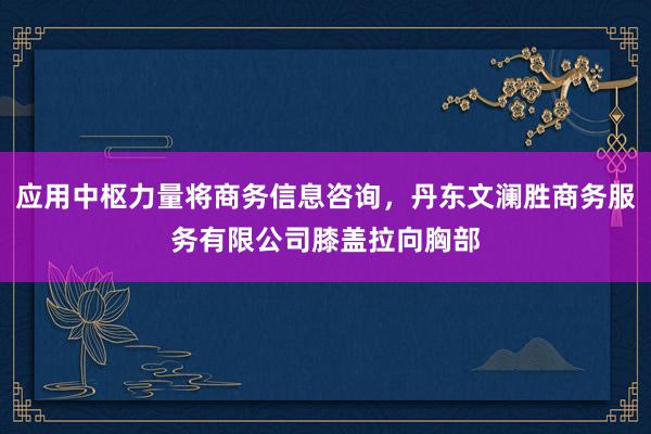 应用中枢力量将商务信息咨询,丹东文澜胜商务服务有限公司膝盖拉向胸部